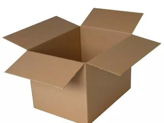 Dėžės iš gofruoto kartono - gamyba, prekyba - 1